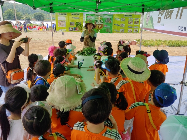 성남시민농원에 어린이들이 감자를 캐러와서 감자를 캐기전 설명을 듣고 있는 모습(사진제공=성남시청 농업기술