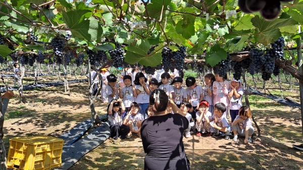 【영동=코리아플러스】 김종배 기자 = 꼬망세어린이집 어린이들이 포도밭에서 인증샷을 촬영하고 있다.<br>