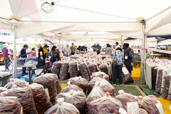 【청양=코리아플러스】류상현 강경화 기자 = 청양군은 오는 19일부터 21일까지 열리는 ‘2025 청양고추구기자축제’에서 건고추 600g을 1만5000 원, 꼭지 제거 건고추는 1만7000 원에 판매한다고 밝혔다.