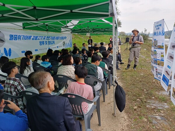 【금산=더플러스 금산】 황승영 기자 = 금산교육지원청은 21일 금강 일원에서 국립중앙내수면연구소와 함께 ‘민물고기(감돌고기, 어름치) 방류 및 생태교육’을 실시했다.