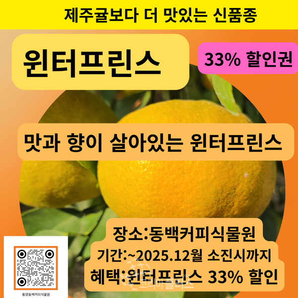 혵스윈터프린스 33%쿠폰