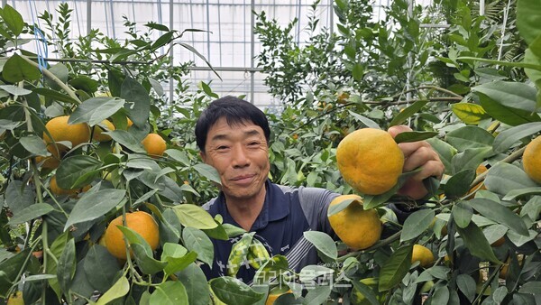 통영 동백커피식물원대표 이상현