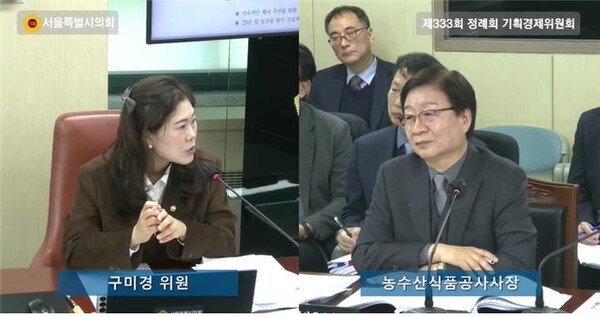구미경 의원이 행정사무감사에서 서울농수산식품공사를 대상으로 질의하고 있다. (서진=시의회)